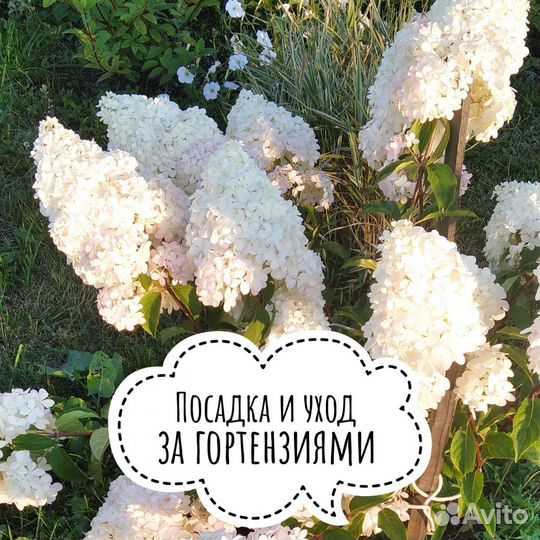 Торф в мешках