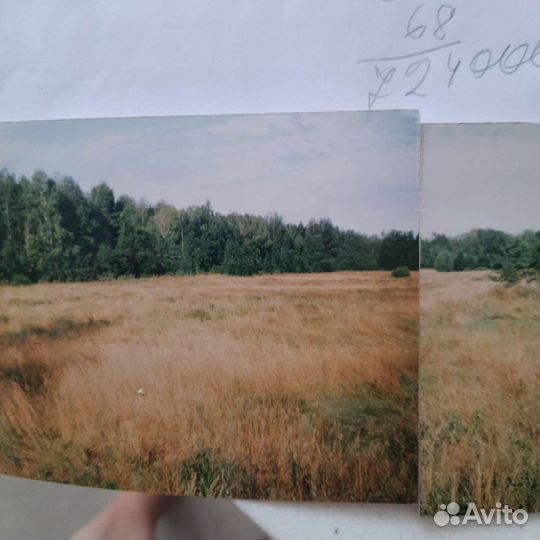 Трава на сено