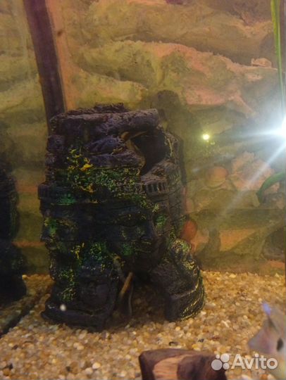 Аквариум Панорамный с тумбой