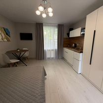 Апартаменты-студия, 20 м², 1/1 эт., Сочи