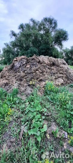 Навоз перегной доставка есть отдельно