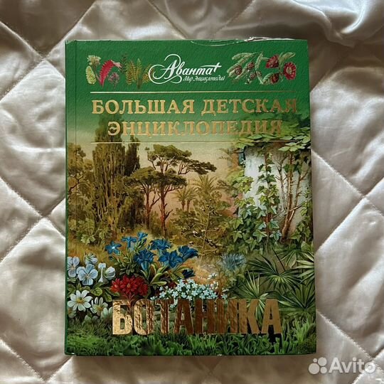 Энциклопедия для детей Аванта