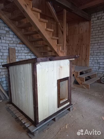 Собачья будка