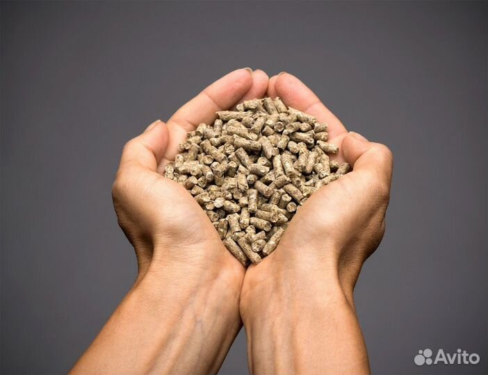 Корм для лошадей