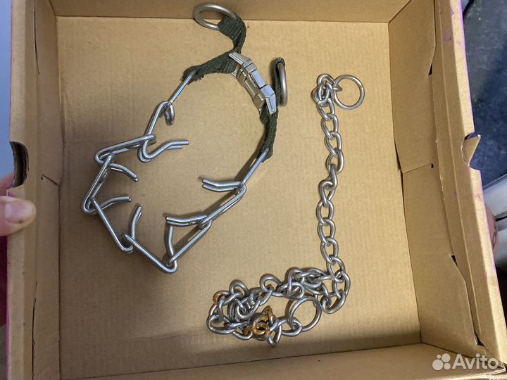 Строгий ошейник