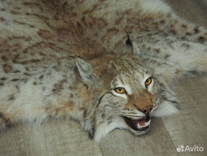 Шкуры волка и рыси имитация
