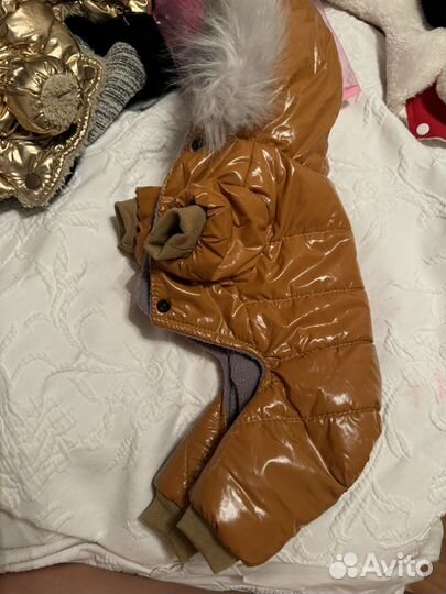 Комбенезон зимний, пальто и плащь для животных