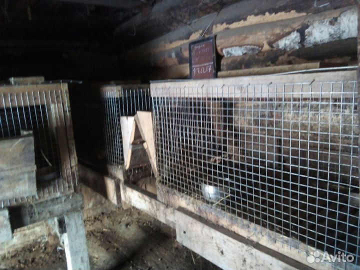 Клетки для животных