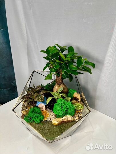 Флорариум 