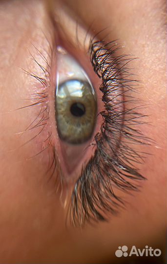 Ресницы и брови