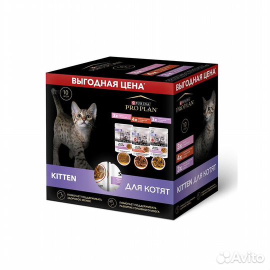 PRO plan Котята Гов Инд