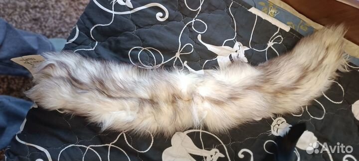 Меховые шкурки