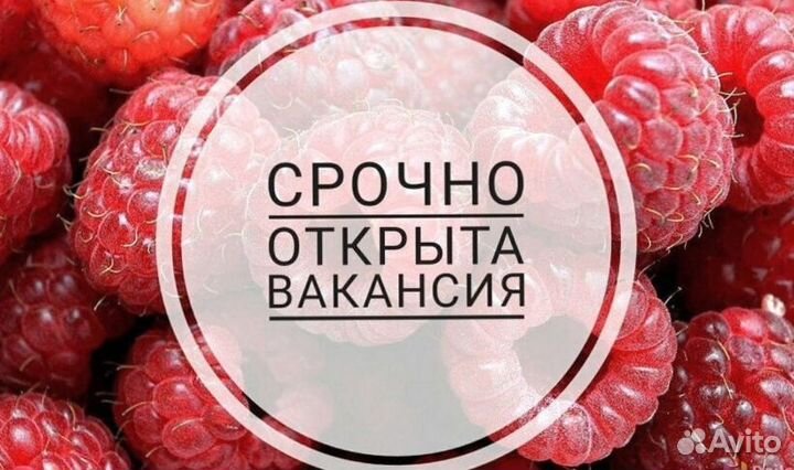 Рабочий на хлебозавод