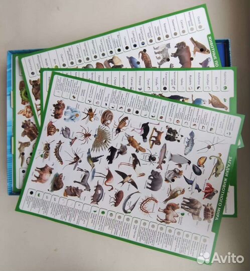 Развивающая настольная игра