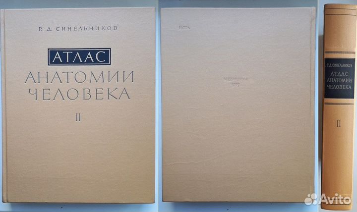 Синельников Р.Д. Атлас Анатомии человека. В 3-х то