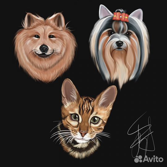 Digital Художник-иллюстратор, рисунки на заказ