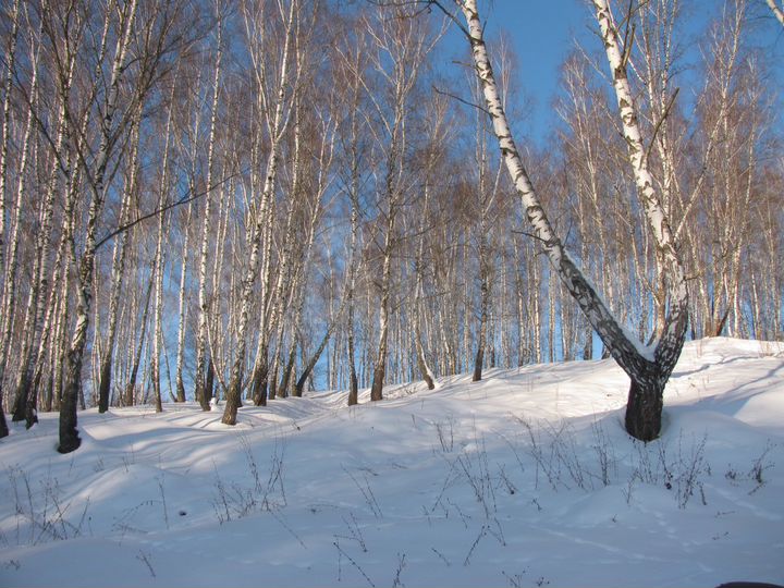 Участок 5 сот. (СНТ, ДНП)