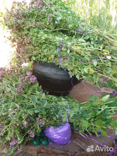 Душица,ромашка