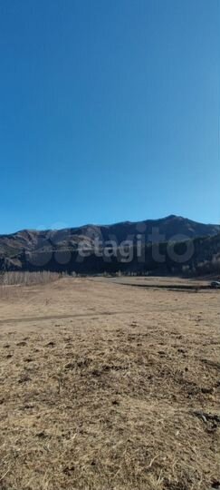 Участок 20 сот. (СНТ, ДНП)