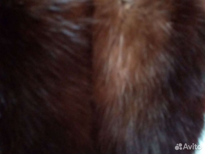 Шкурки соболя