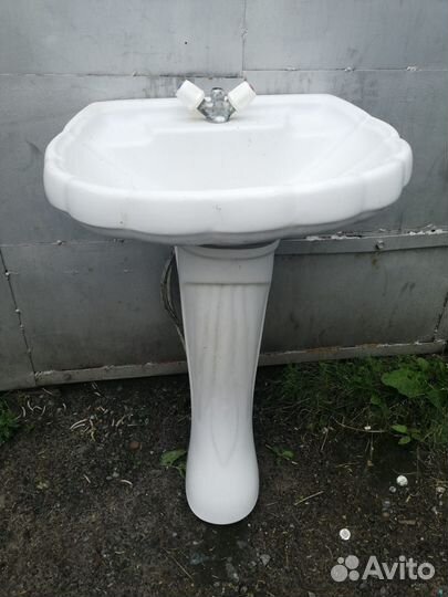 Раковина тюльпан