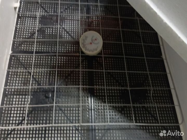 Инкубатор несушка авто переворот яиц