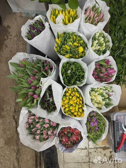 Тюльпаны букет 15 штук к 8 марта в Москве