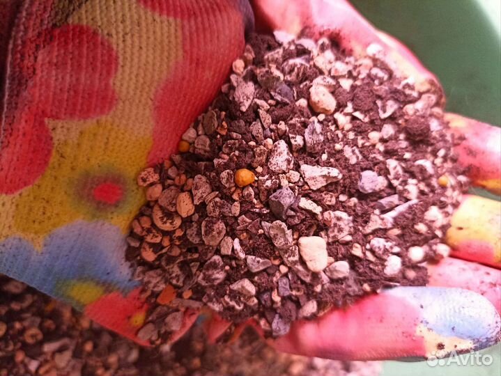 Грунт для суккулентов и кактусов