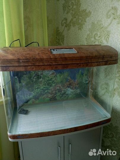 Аквариум