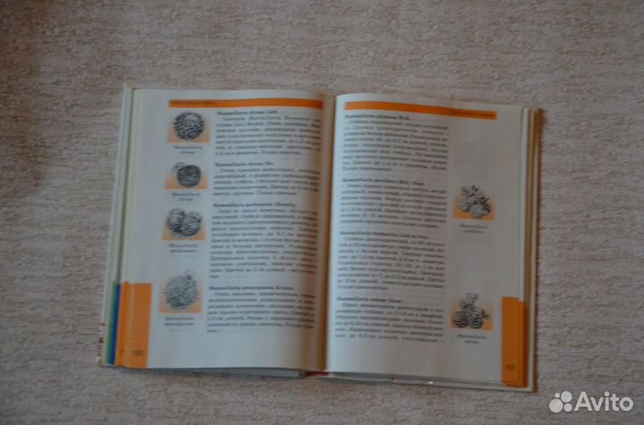 Книги о кактусах