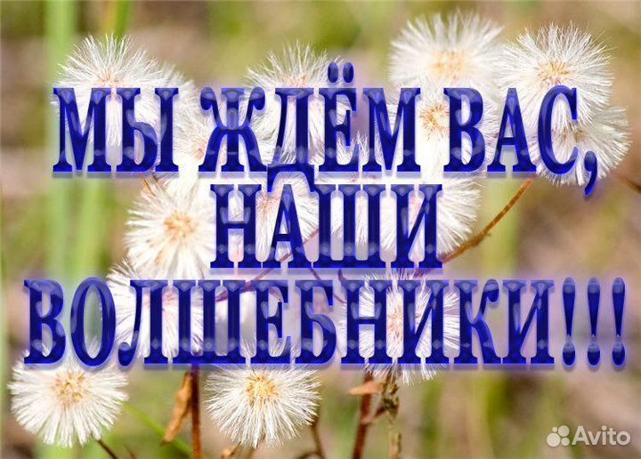 Кот и кошка в добрые руки