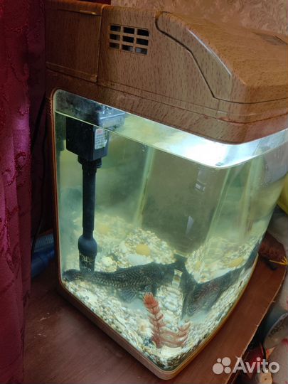 Аквариум Jebo R 338