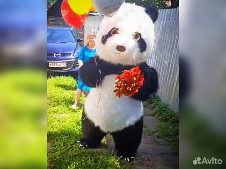 Поздравление с днем рождения panda