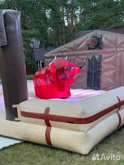 Бык родео прокат аренда