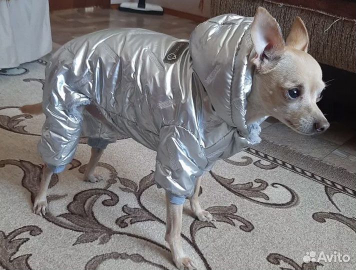 Комбинезон для собачки