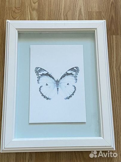 Картина бабочки IKEA