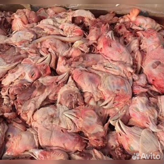 Головы куриные