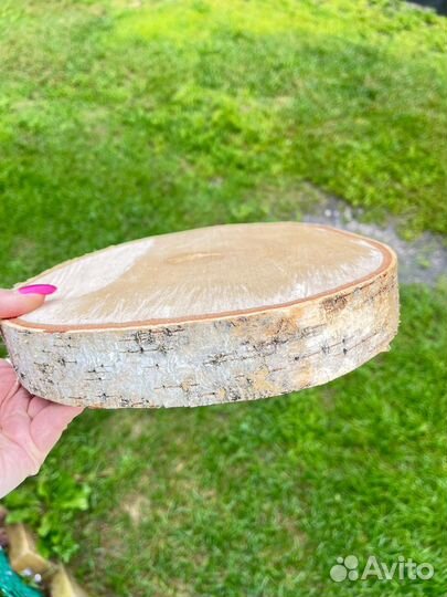 Спилы дерева