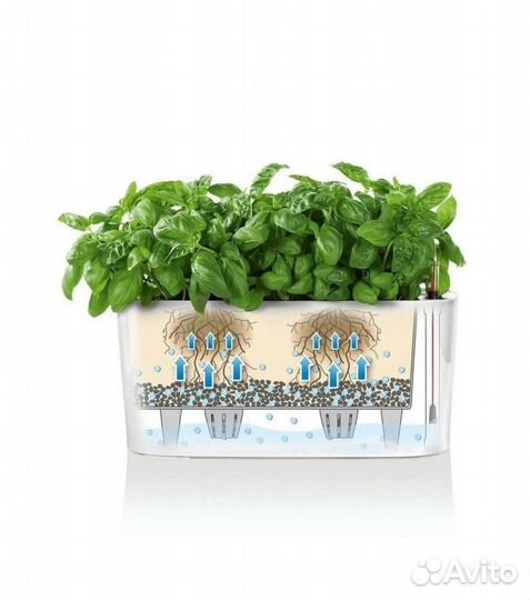 Кашпо lechuza delta 20