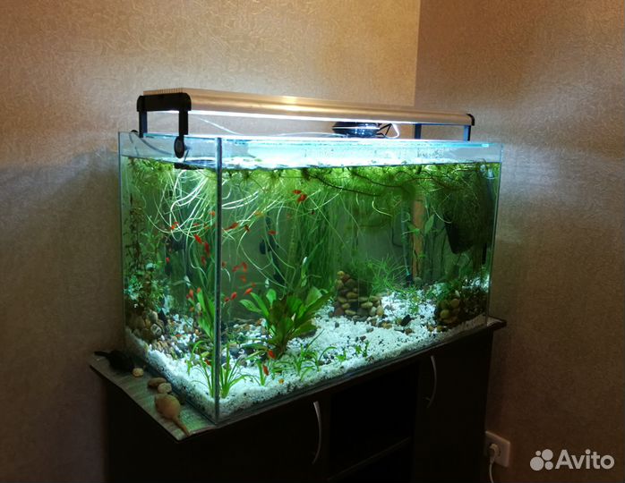 LED светильник для пресноводных аквариумов