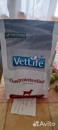 Лечебный корм для собак гастро