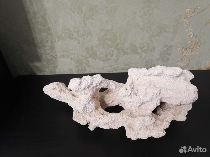 Кораллы для аквариума