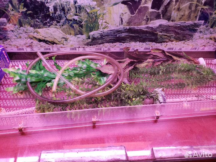 Аквариум 200 литров