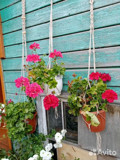 Кашпо для цветов подвесное