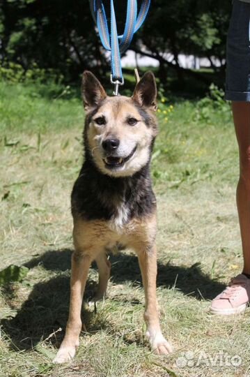 Добряк а никому не нужен а он ждет