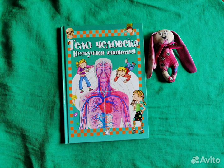 Книга Тело человека Нескучная анатомия
