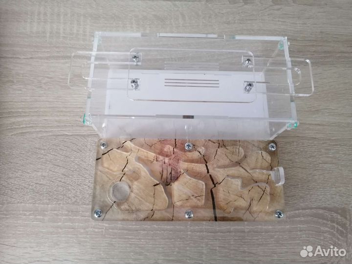 Муравьиная ферма