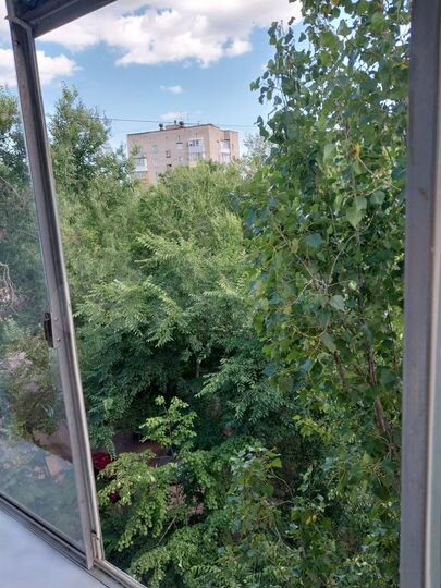 1-к. квартира, 30,3 м², 5/5 эт.