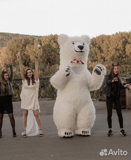 Белый мишка поздравление