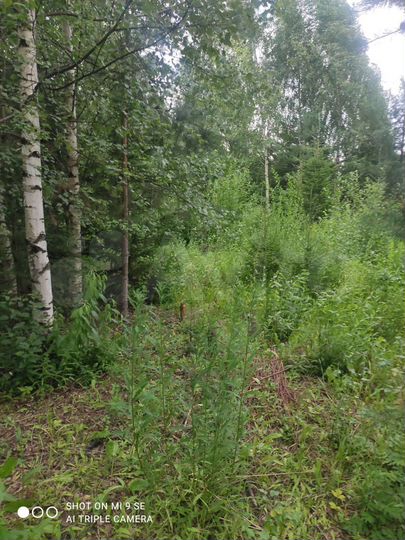 Участок 18 сот. (ИЖС)